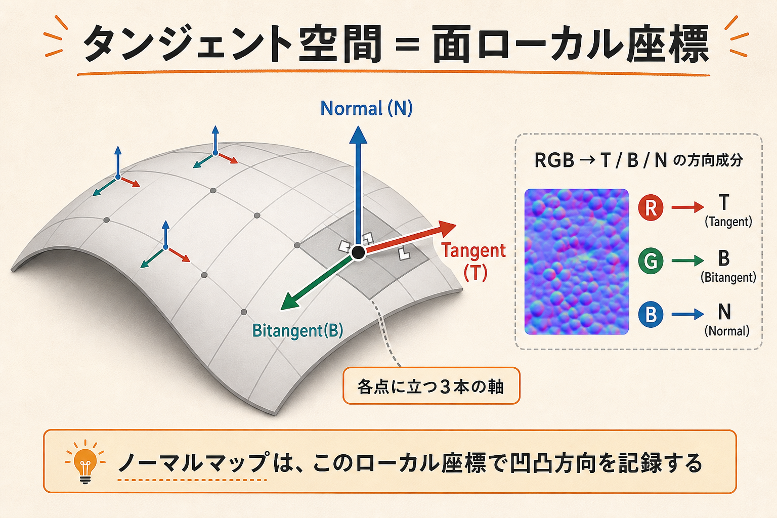 曲面上に立つTangent・Bitangent・Normalの3軸を示したタンジェント空間の概念図
